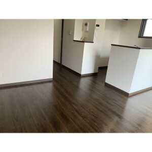 RAFFLEOZONEの居間・リビング