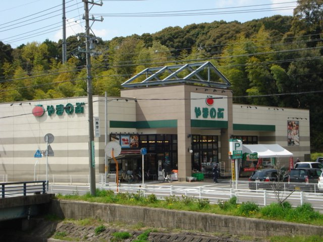 エンジェルパレスＡの周辺|スーパーやまのぶ市木店まで1,079ｍ