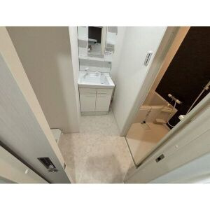 THERESIDENCESHIGAHONDORIの洗面所