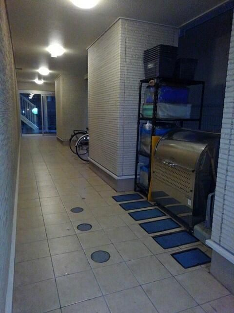 プレゼント　ミューズのエントランス