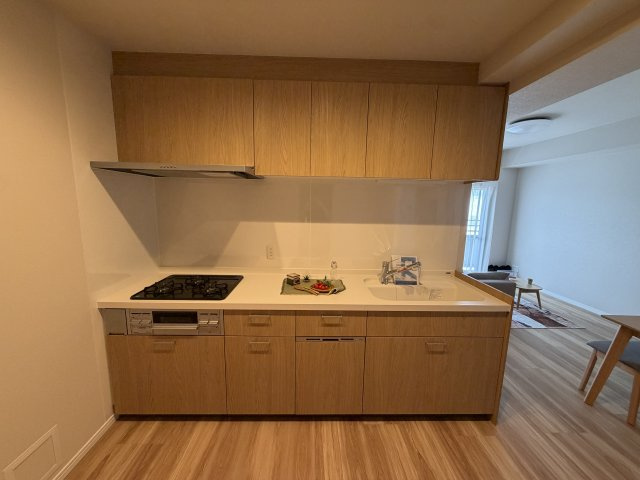 ライオンズヒルズ具志のキッチン