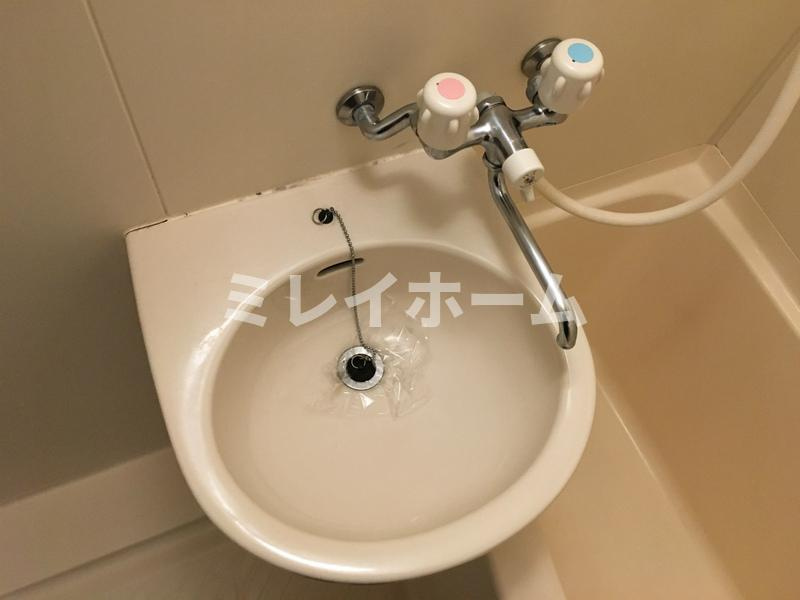 ロイヤルガーデン千鳥の洗面所