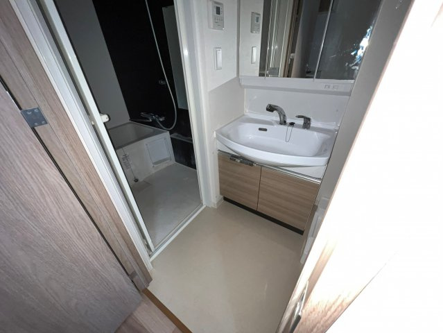 プレサンス心斎橋ニストの洗面所
