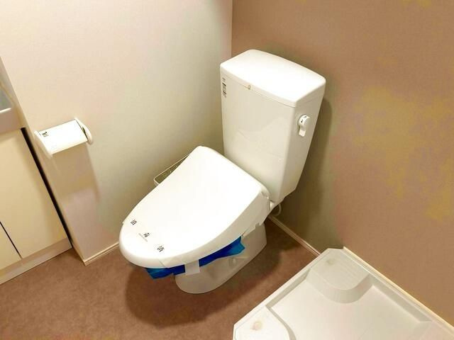 楽信マンションのトイレ