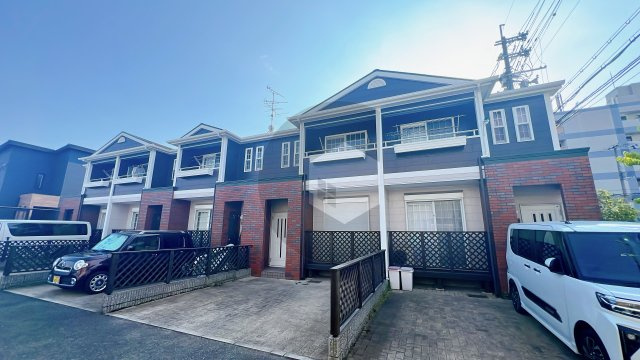 ジィプソフィラの外観
