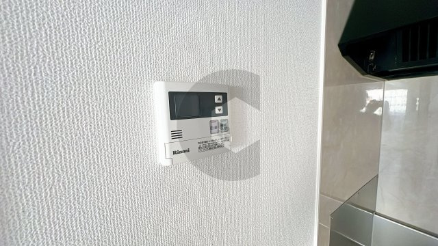 ジィプソフィラのその他