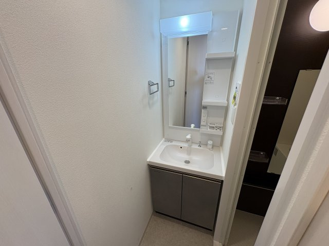 Alivis神戸駅前の洗面所