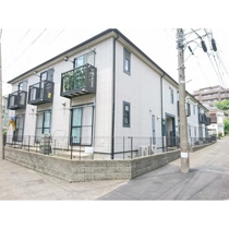 サニーヒル桜の画像