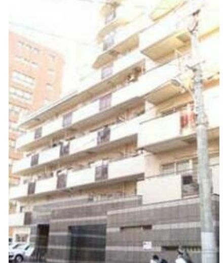 VIPマンションの外観|物件の外観です