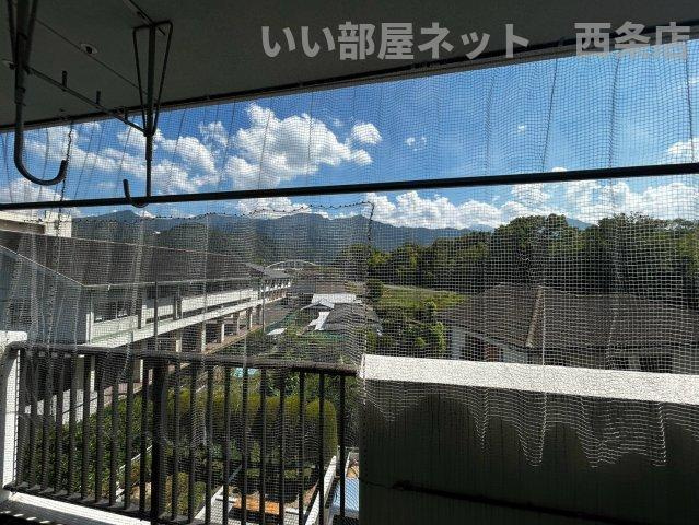 サンシャイン西条の展望