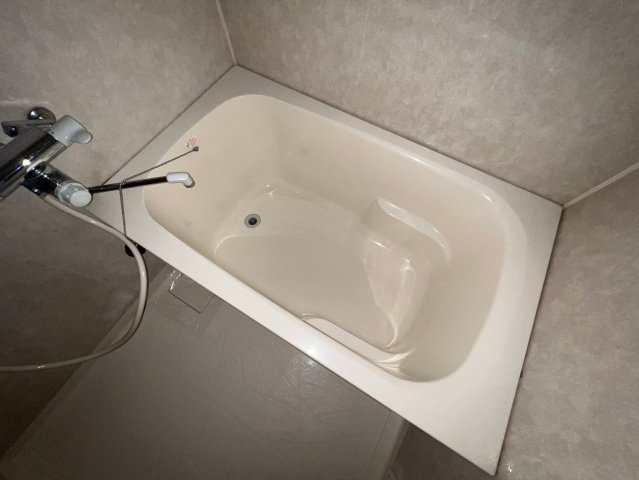エターナル緑丘の浴室