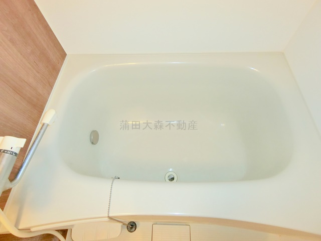 ウェルスクエア下丸子SOUTHの浴室