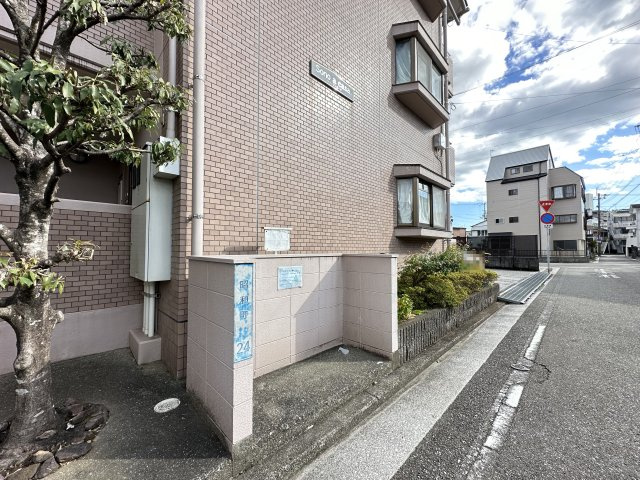 ソノ・ア・カーザのその他