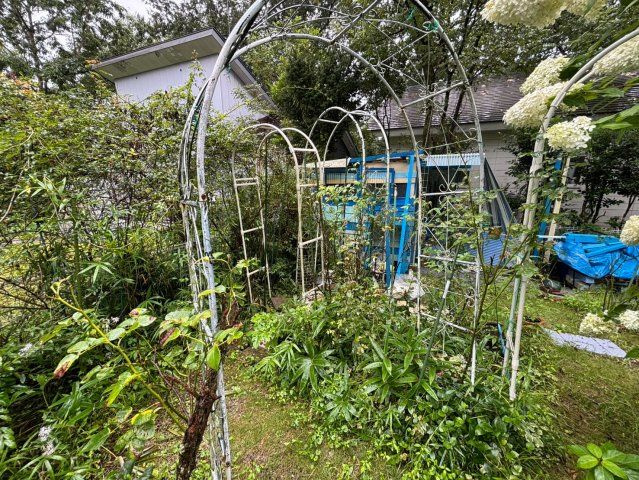 那須町大字高久乙　管理別荘地　薪ストーブ付き中古戸建の庭