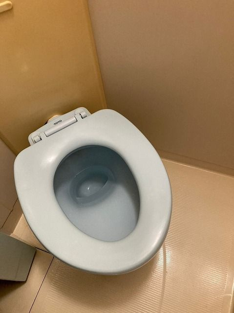 ライオンズマンション大森北のトイレ