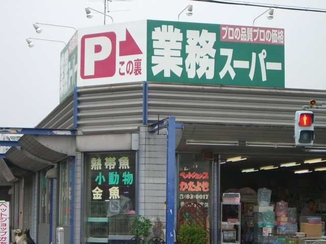 坂戸市薬師町　アパート新築工事の周辺|業務スーパー坂戸店まで435ｍ
