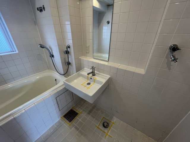 港区麻布十番２丁目の賃貸マンションの洗面所