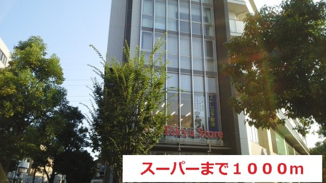 ゼファー　ブランの周辺|スーパーまで1000m