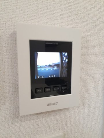 ジプソフィルのその他