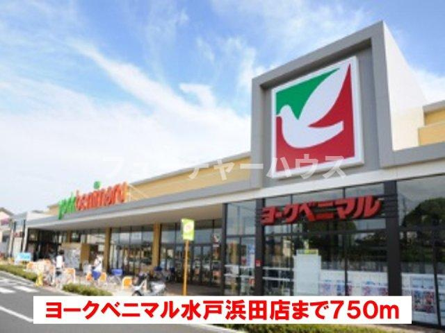 セント．クララアパートメントＡの周辺|ヨークベニマル水戸浜田店まで750m
