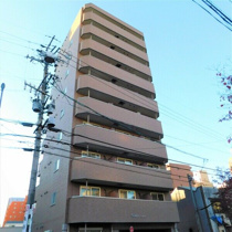ノーブルコートの画像