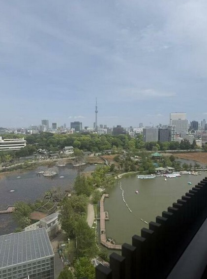 【展望】