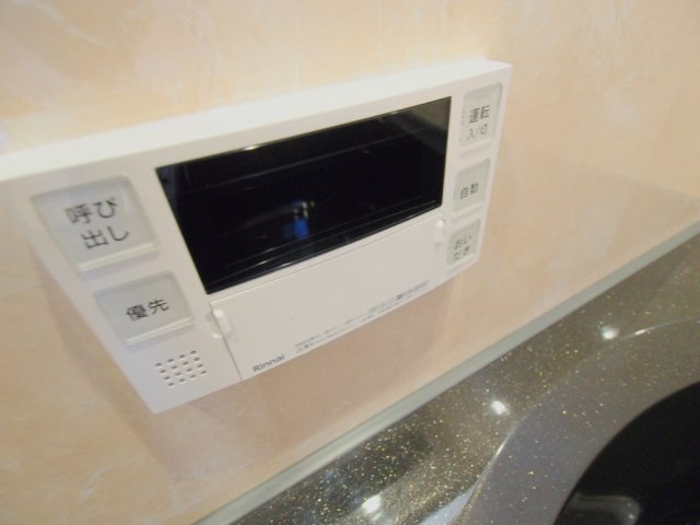 セレーナ・Nのその他