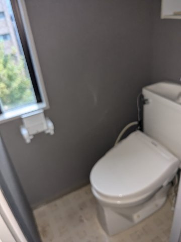 文京区本駒込５丁目の賃貸マンションのトイレ|トイレも気になるポイント