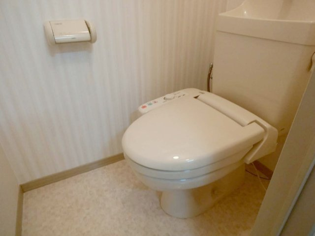 セジュール柏崎 Aのトイレ