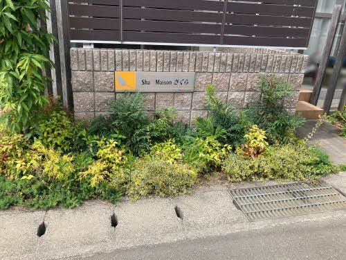 シャーメゾンさくら