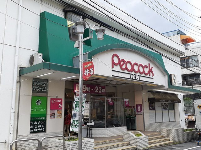 サンリット　ＩＯＧＩの周辺|peacockまで300m