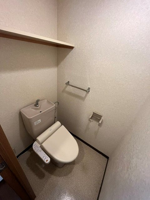 サウザンドⅤ のトイレ