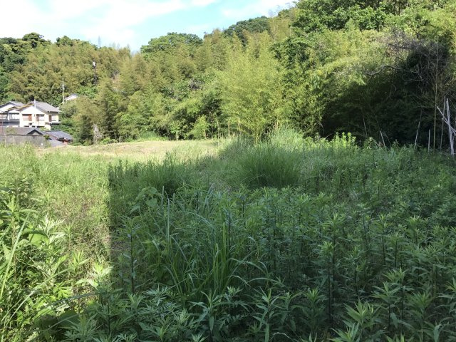 下田市　6丁目の外観