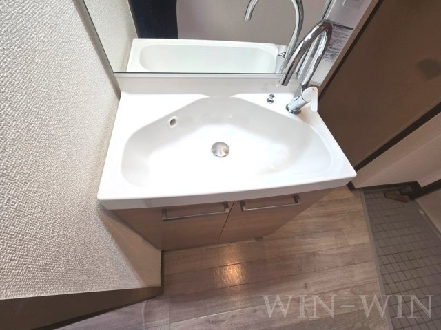 ライフコートの洗面所|イメージ（同建物内別部屋の写真です）