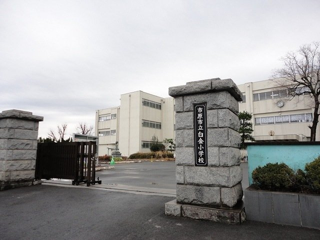 ネオス　ソイルの周辺|市立白金小学校まで700m