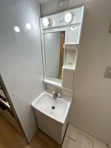 ロイヤルキャッスルの洗面所