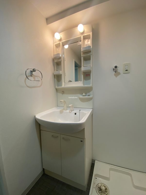 ダイドーメゾン大阪北堀江の洗面所