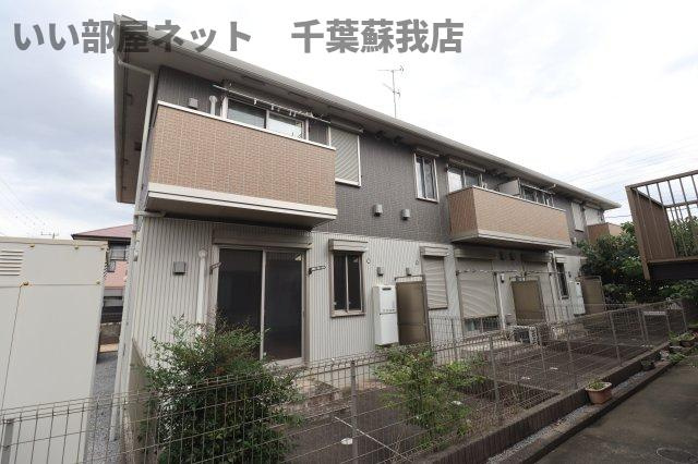 コスモス