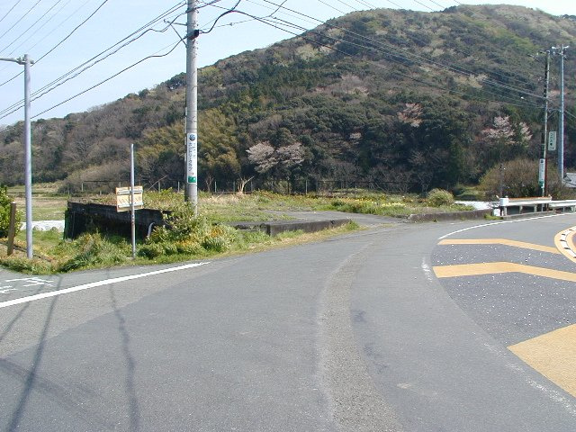 南伊豆町　一色の前面道路含む現地写真