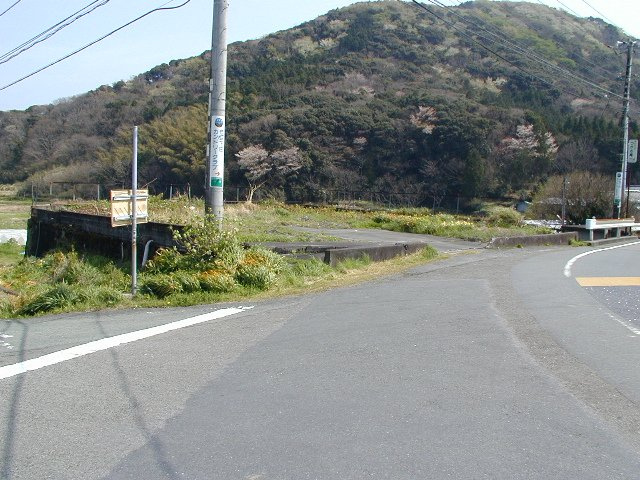 南伊豆町　一色の前面道路含む現地写真