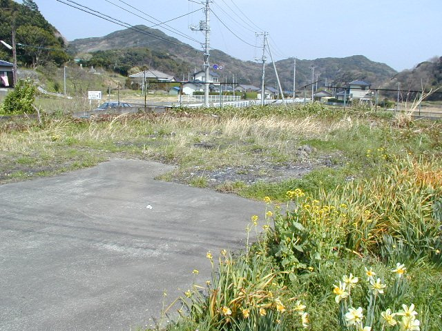 南伊豆町　一色の外観