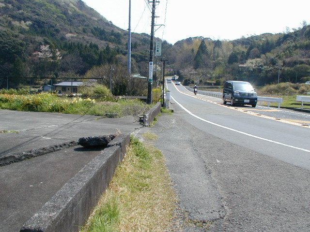 南伊豆町　一色の前面道路含む現地写真
