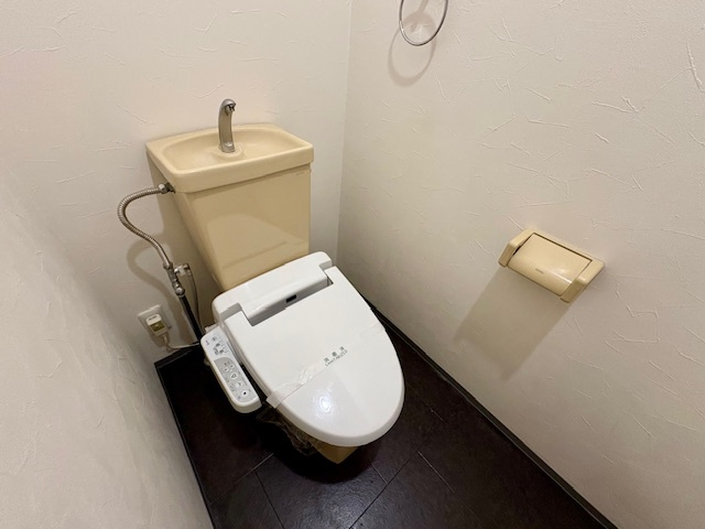 ヴェルドミールのトイレ