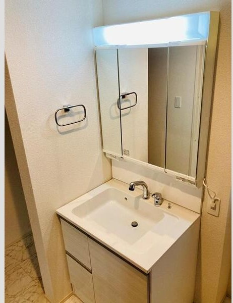 中里戸建の洗面所
