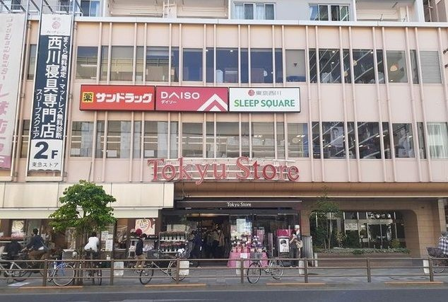 カンパニュラのその他
