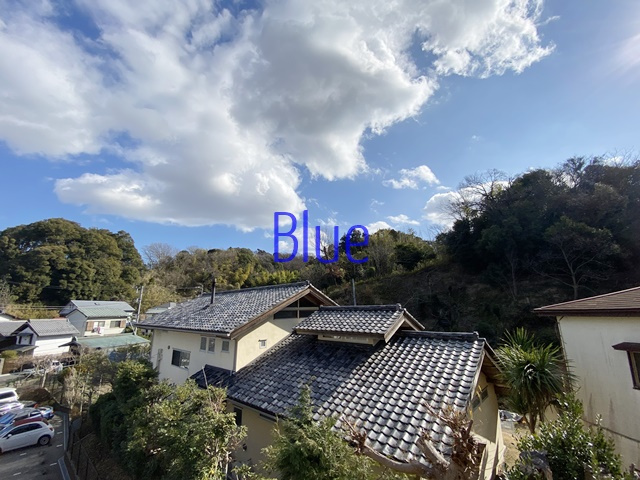 【展望】