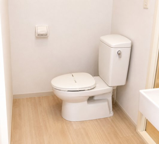 北区浮間４丁目の賃貸マンションのトイレ|トイレ