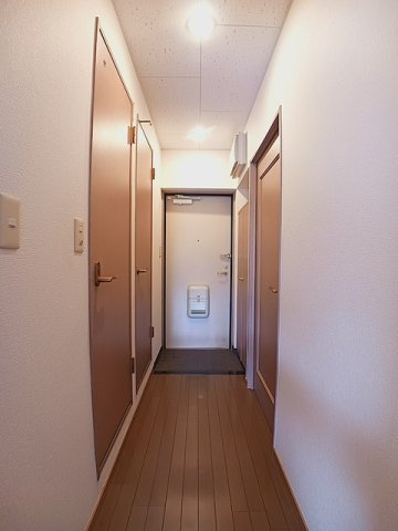 きれいな玄関です