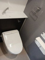 落ち着いたトイレです
