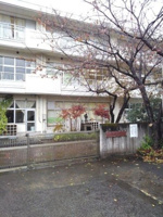 日の出町立平井小学校まで850m